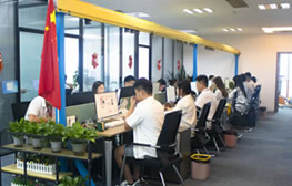 潔凈管道安裝使用不銹鋼手扳葫蘆，安全又高效